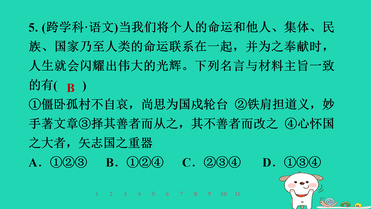 17960883第8页