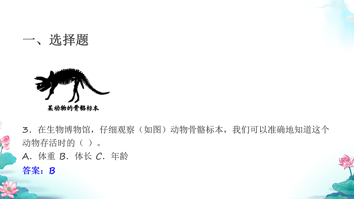 六年级科学下册2.6 古代生物的多样性 同步分层练习讲解课件（28张）第5页