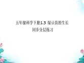 教科版科学五年级下册1.3 绿豆苗的生长 同步分层练习（课件+练习）