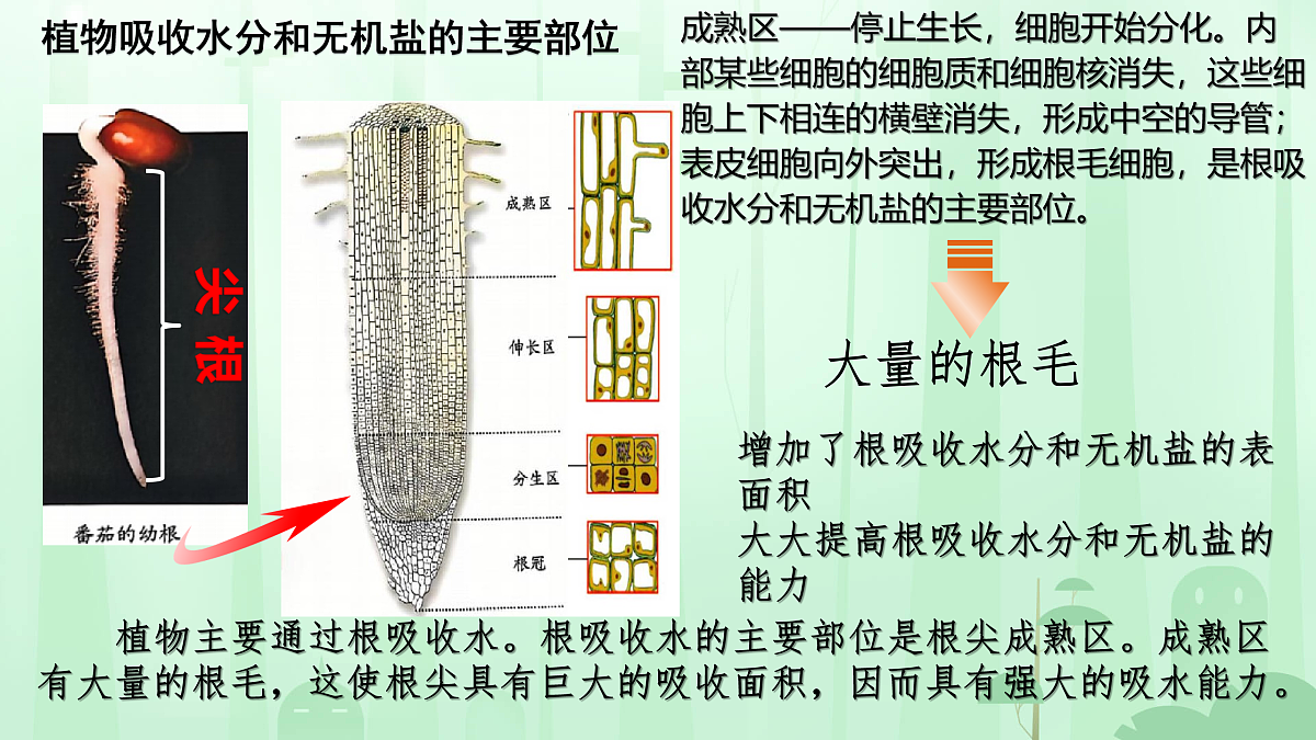17962372第4页
