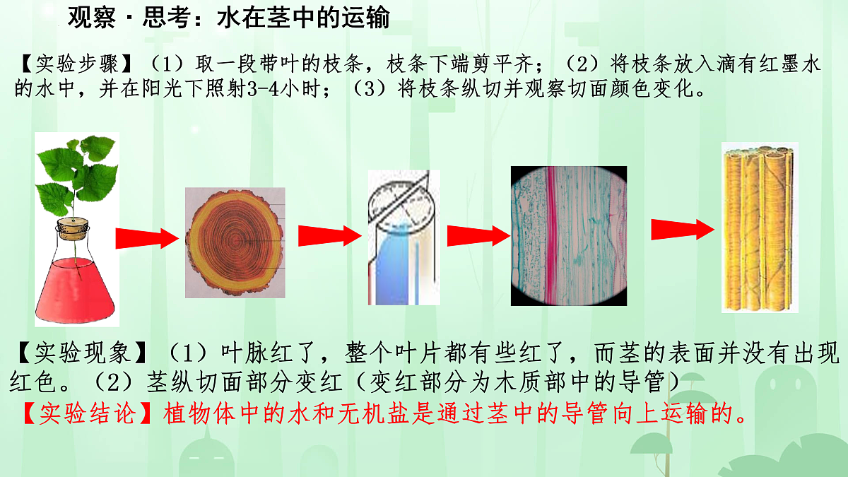 17962372第5页