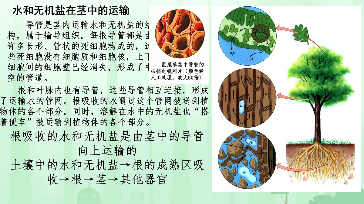 17962372第6页