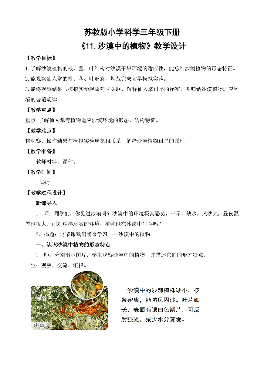 苏教版小学科学三年级下册第三单元《11.沙漠中的植物》教案第1页