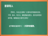 苏教版小学科学三下第三单元《11 沙漠中的植物》课件+教案+视频