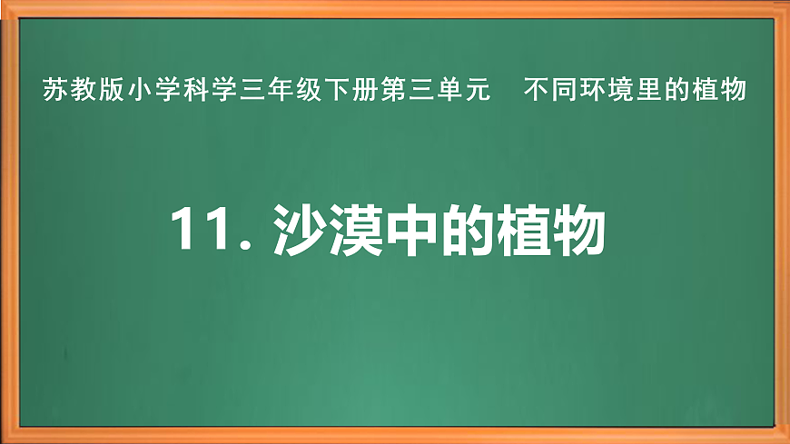 苏教版小学科学三年级下册第三单元《11.沙漠中的植物》课件+作业设计+视频第2页