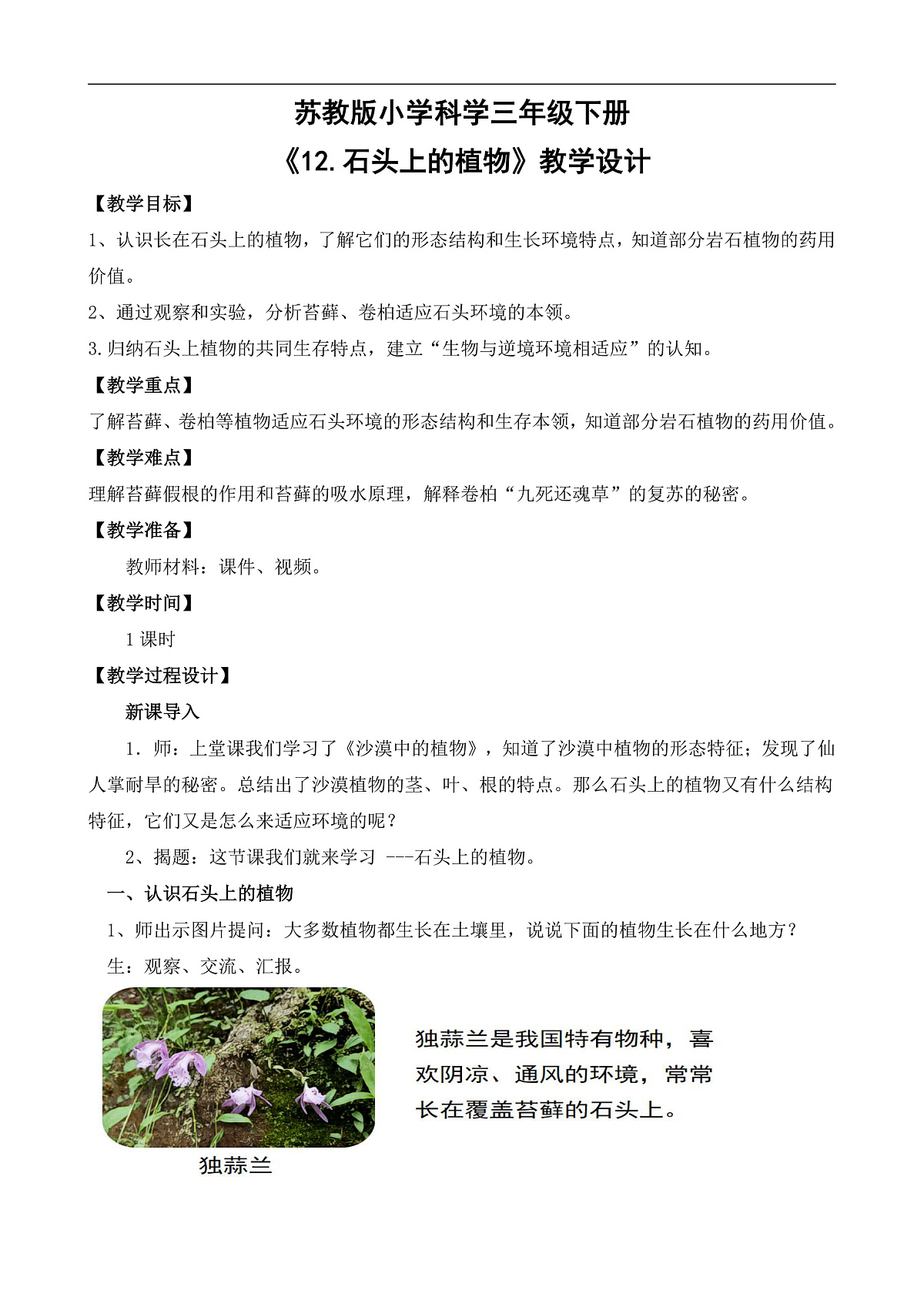 苏教版小学科学三年级下册第三单元《12.石头上的植物》教案第1页