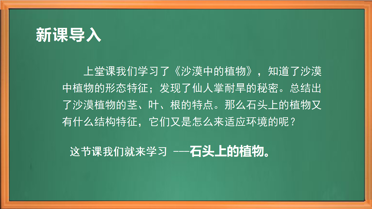 苏教版小学科学三年级下册第三单元《12.石头上的植物》课件+作业设计+视频第1页