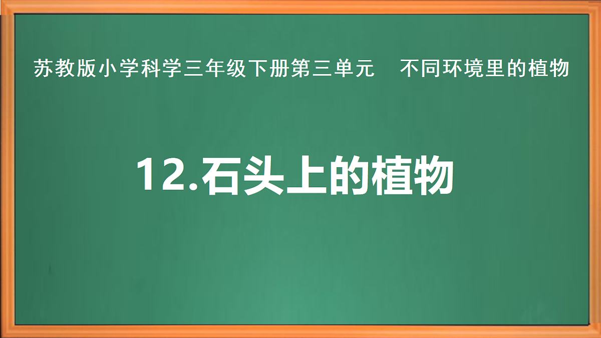苏教版小学科学三年级下册第三单元《12.石头上的植物》课件+作业设计+视频第2页