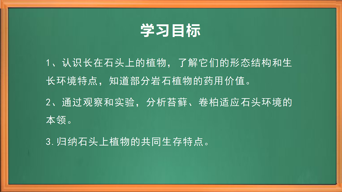 苏教版小学科学三年级下册第三单元《12.石头上的植物》课件+作业设计+视频第3页