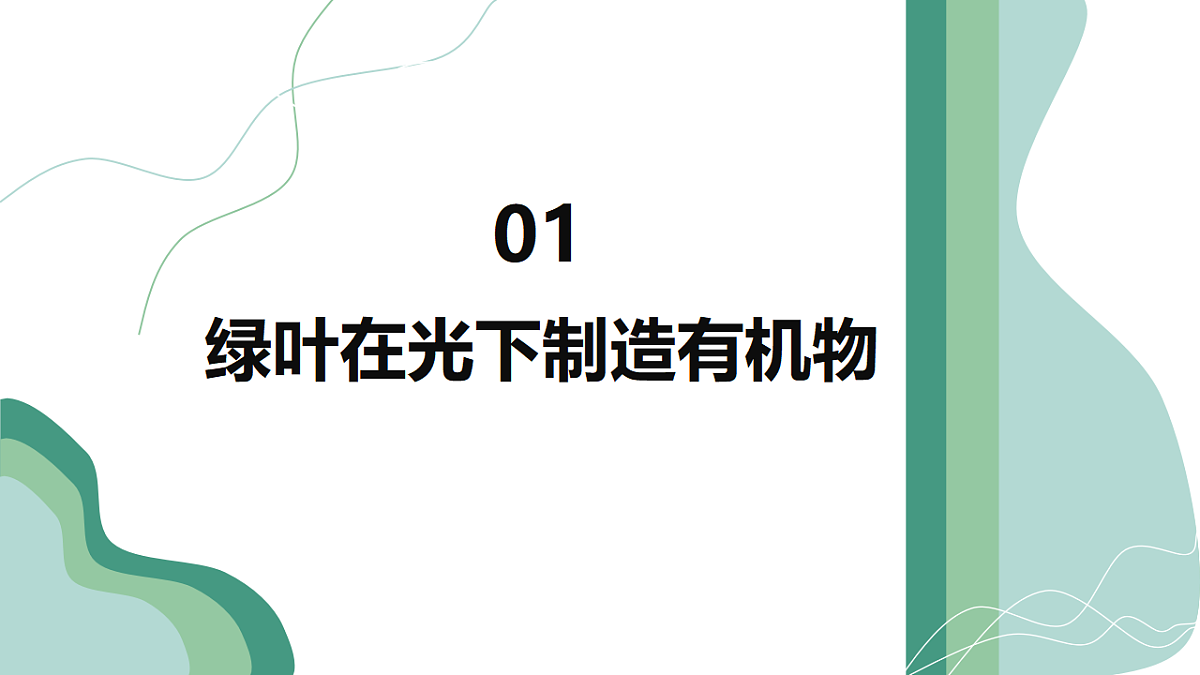 17962385第5页