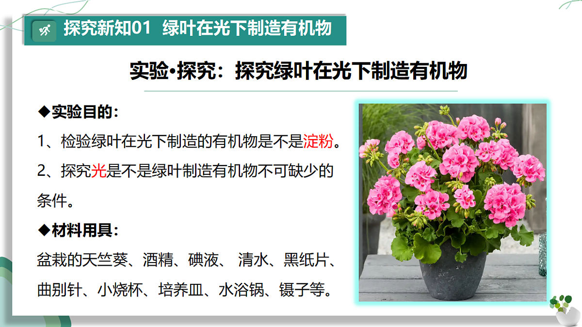 17962385第6页