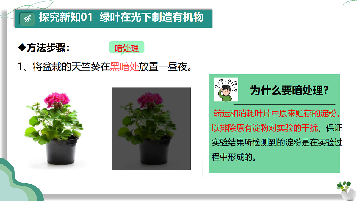 17962385第7页