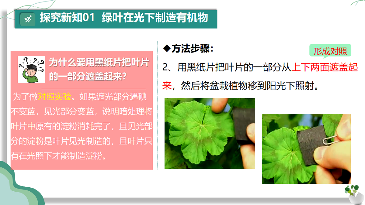 17962385第8页