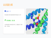 人教版三年级下册美术 4.2食物成分形象化课件+教案