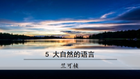 初中语文人教部编版（2024）八年级下册（2024）第二单元阅读5 大自然的语言集体备课ppt课件