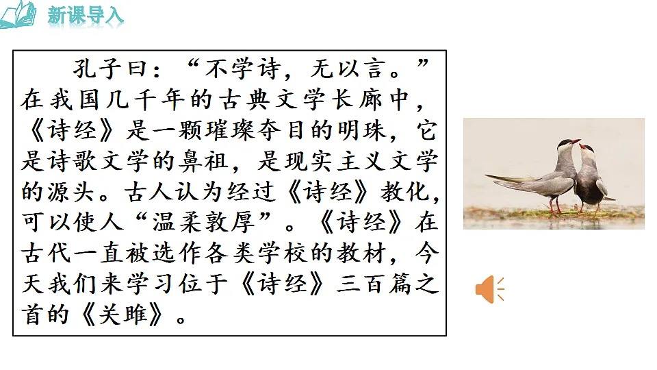 17962535第3页
