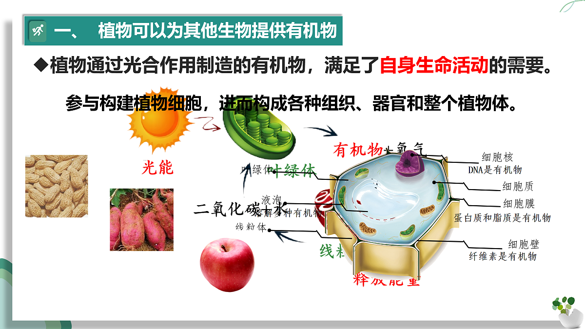17962559第4页