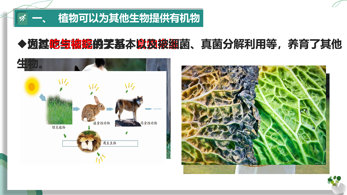 17962559第5页