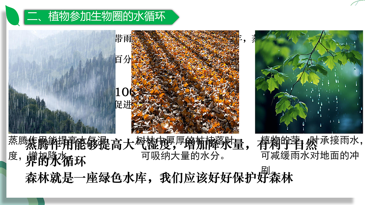 17962559第7页