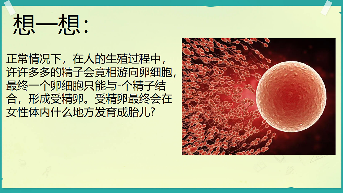 17962586第6页
