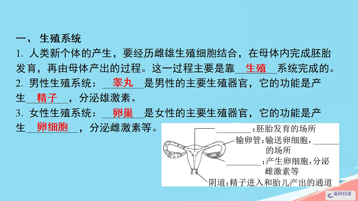 17962587第2页