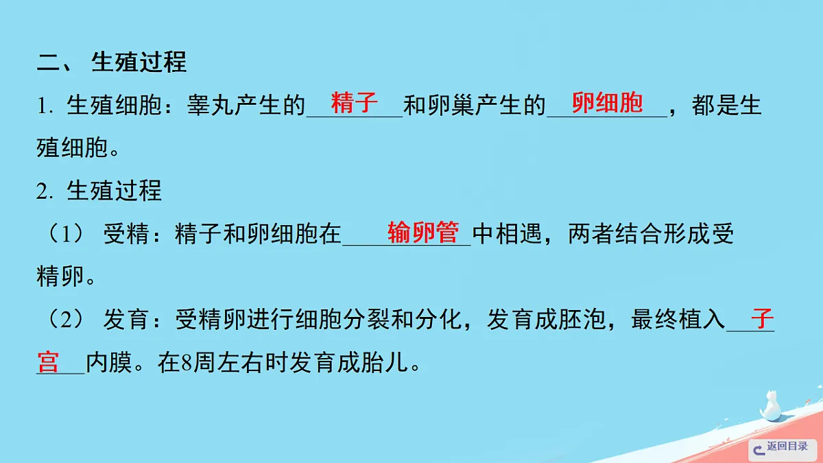 17962587第3页