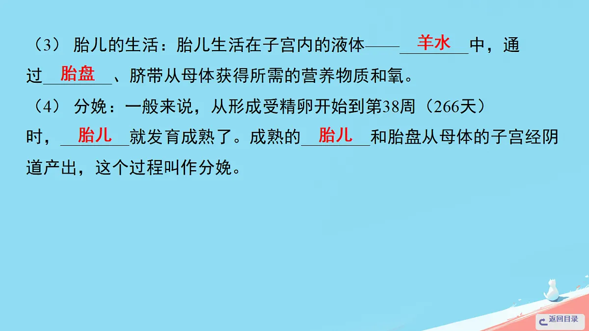 17962587第4页