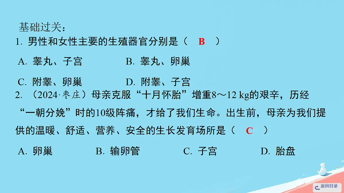 17962587第5页