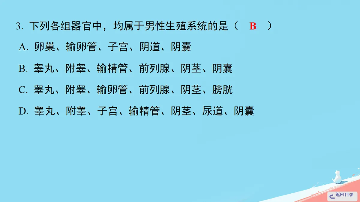 17962587第6页