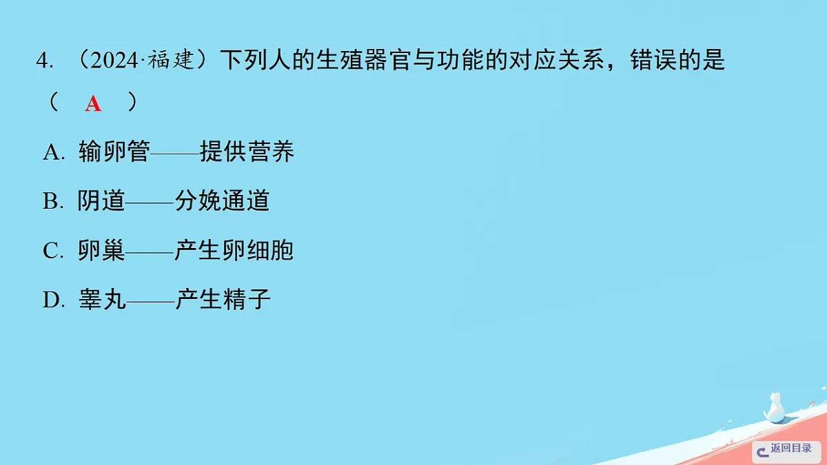 17962587第7页