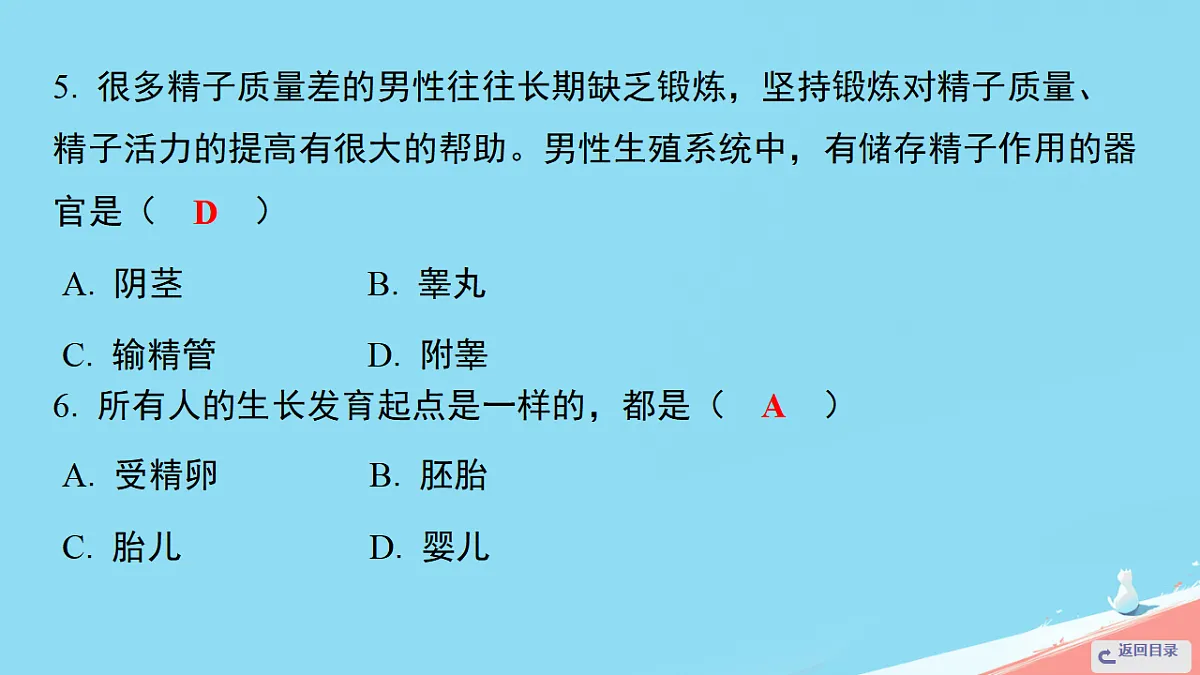 17962587第8页
