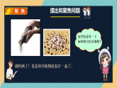 1.3《将不同的物资分离》课件+实验视频—人教鄂教版小学科学三年级下册