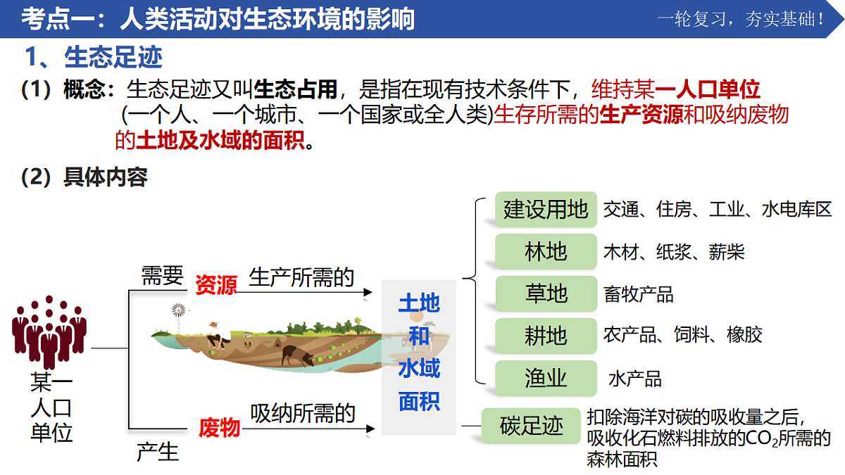 17963423第3页