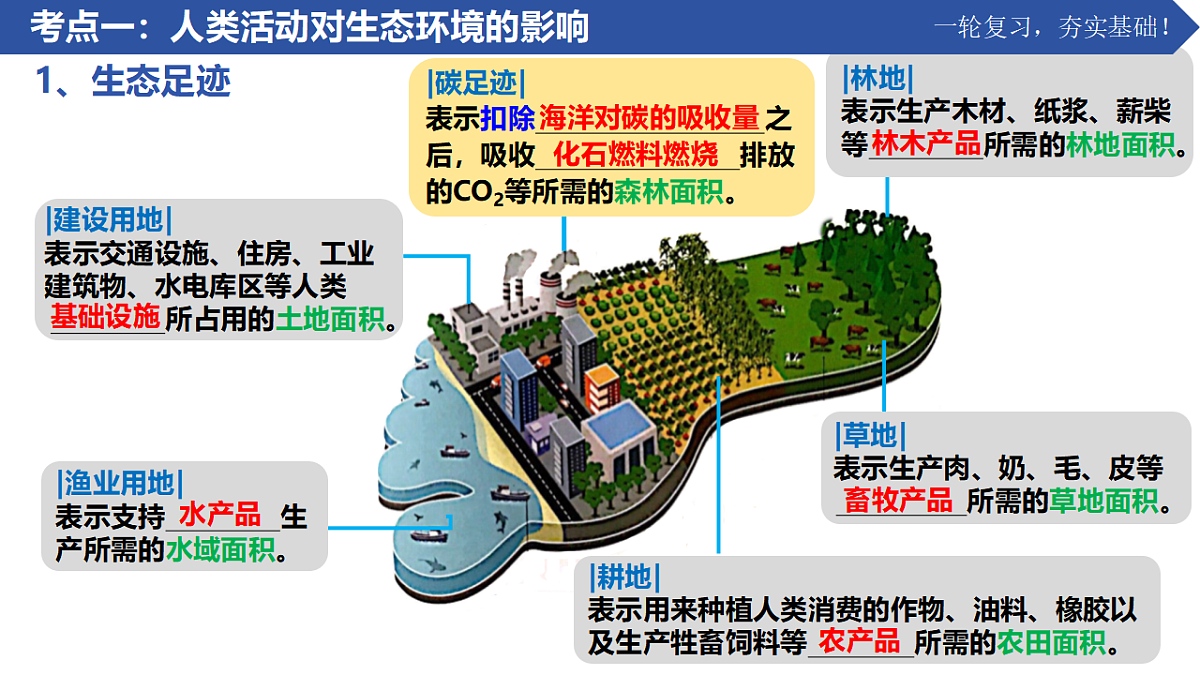 17963423第4页