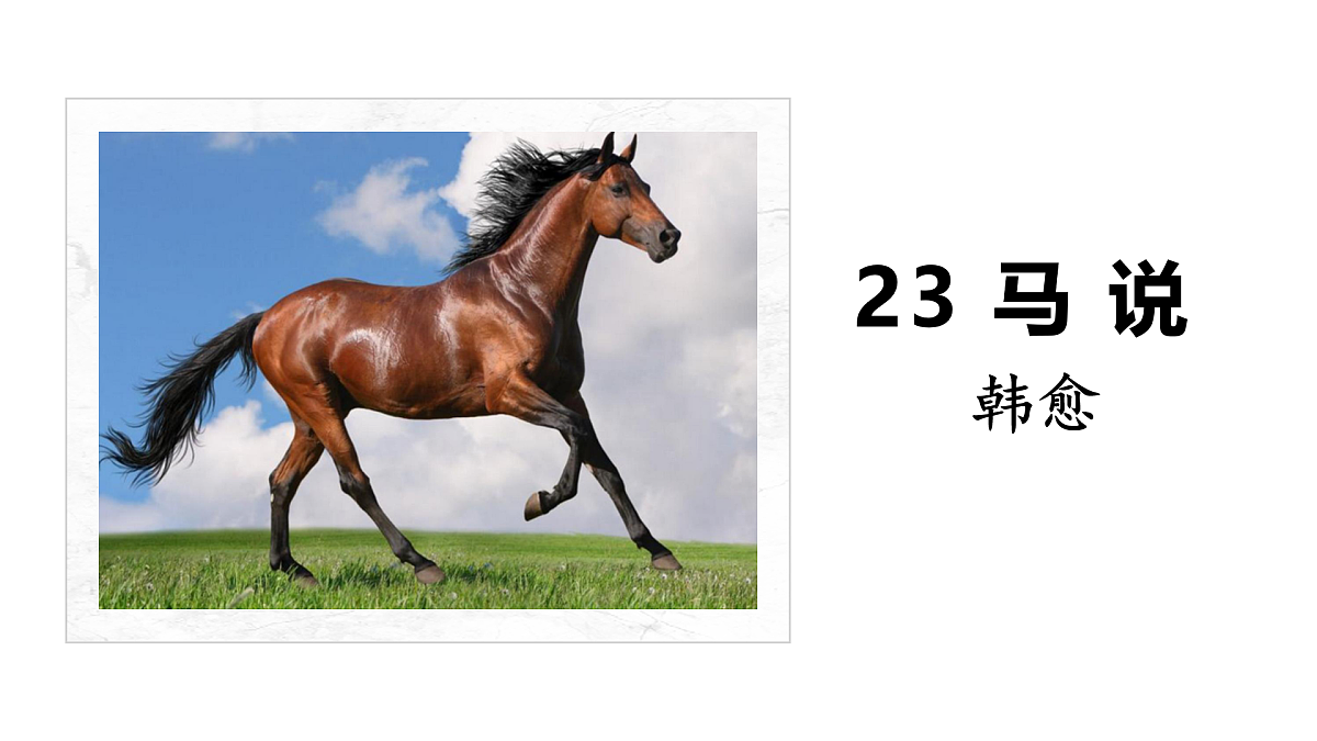 17963446第1页
