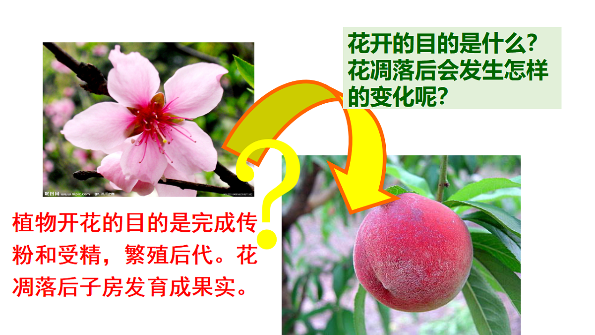 17963805第1页