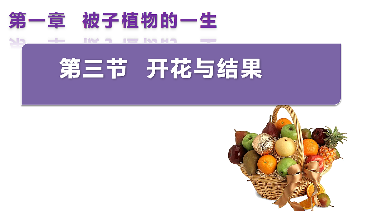 17963805第2页