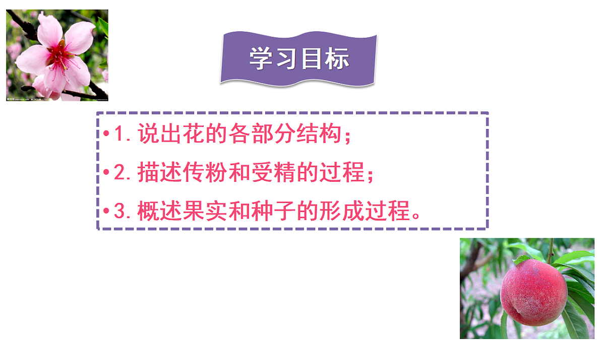 17963805第3页