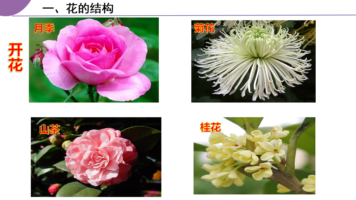 17963805第4页