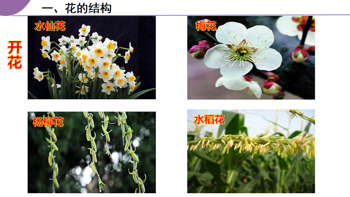 17963805第5页