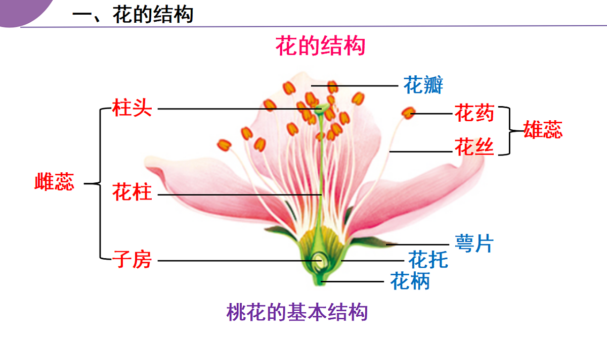 17963805第7页