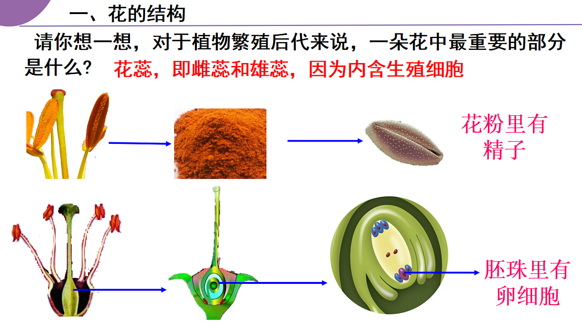 17963805第8页