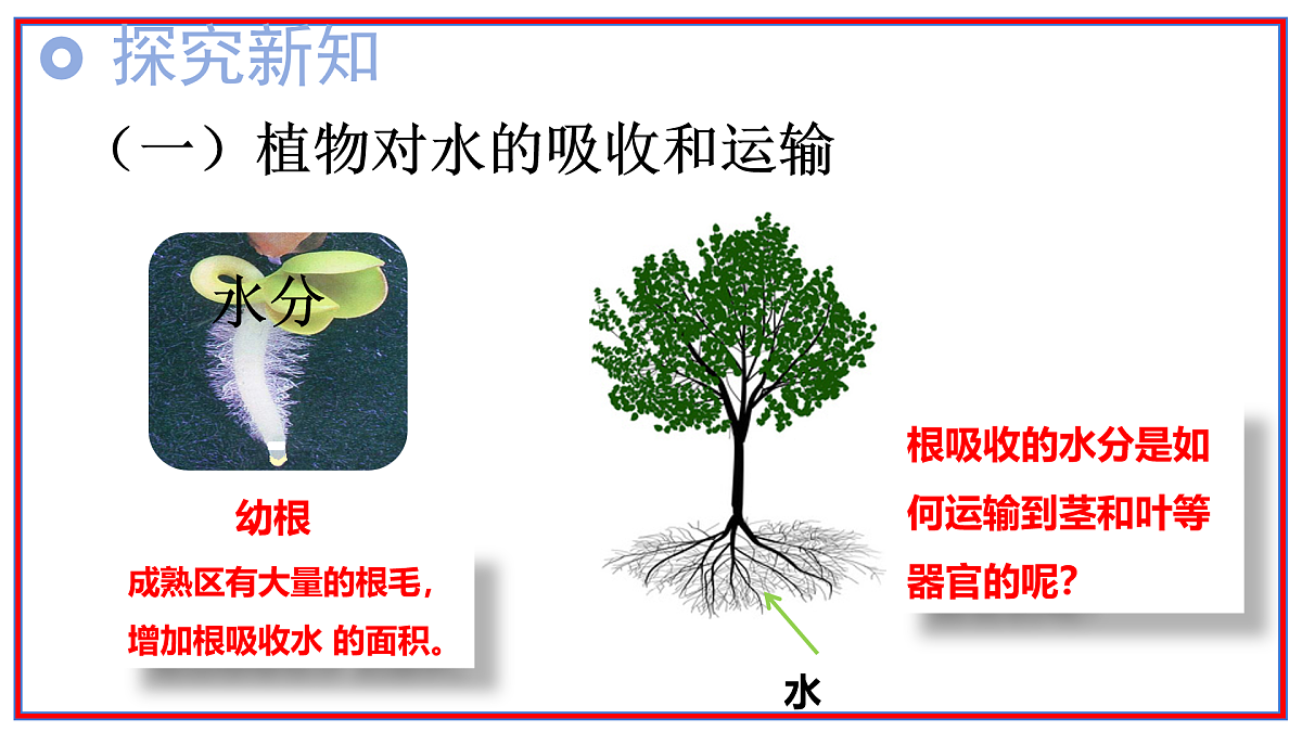 17964014第4页