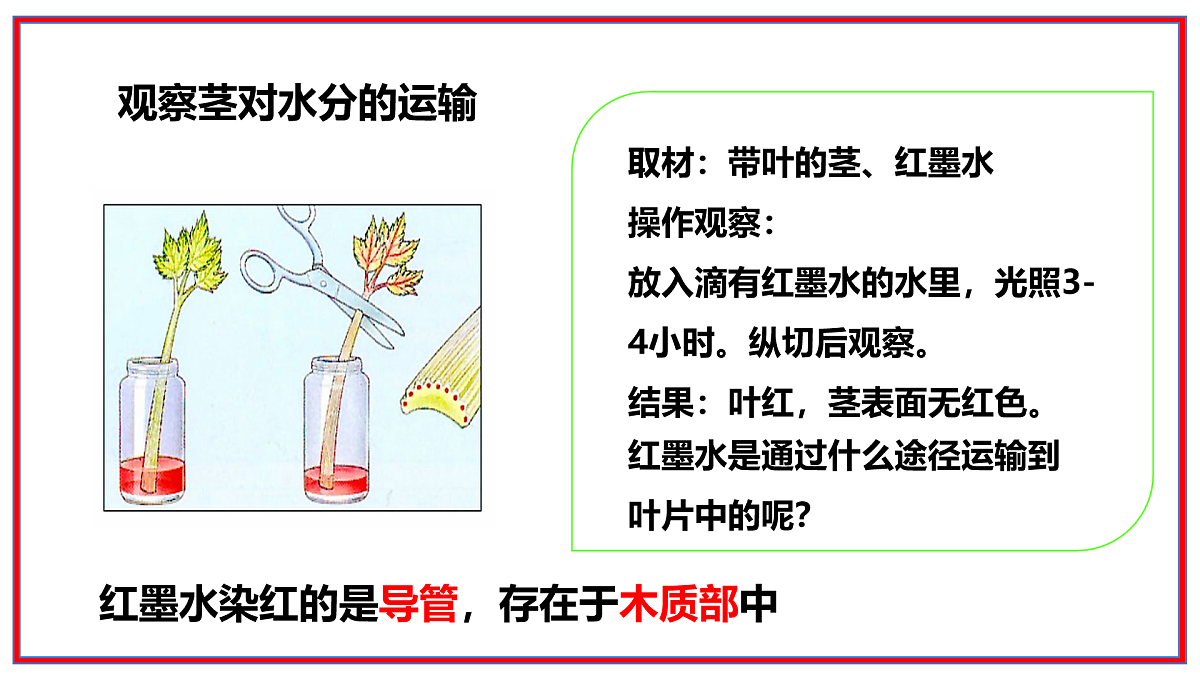 17964014第5页