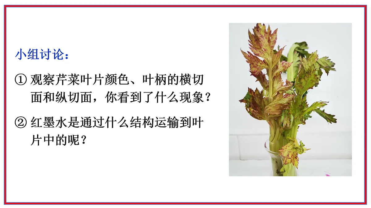 17964014第7页