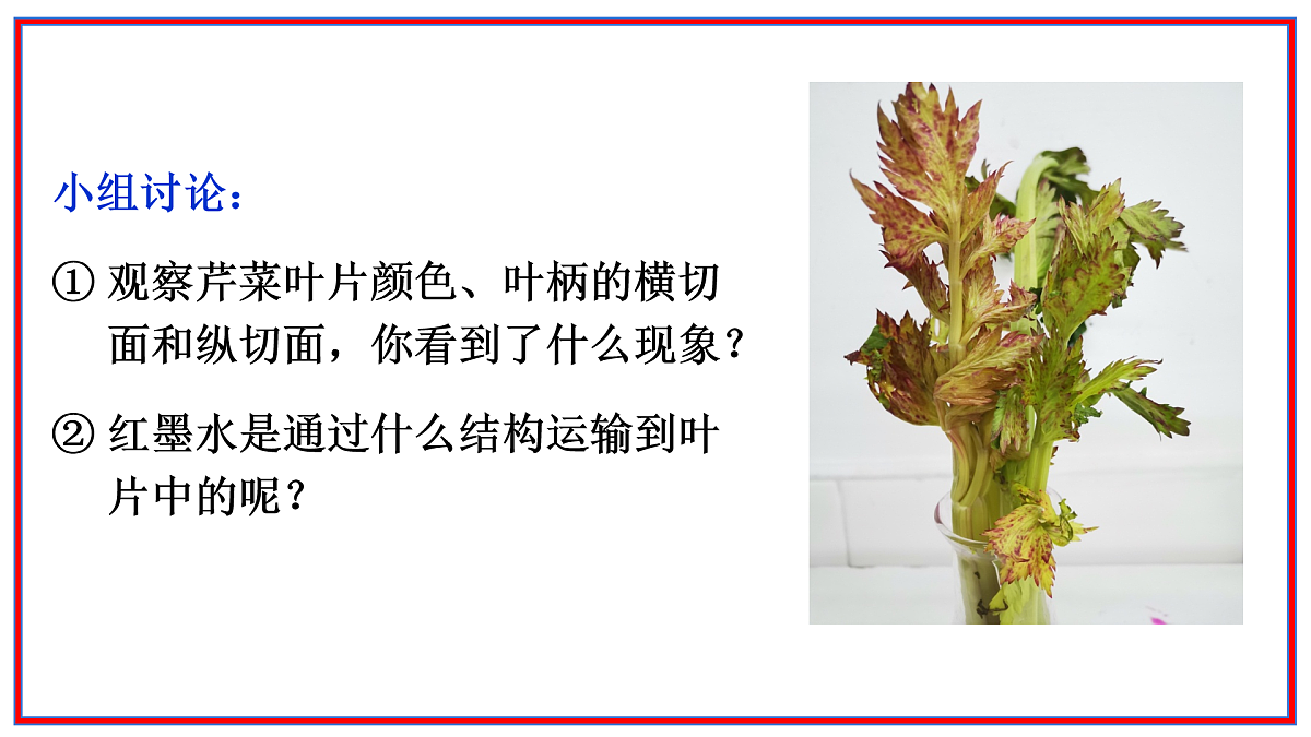 17964014第7页