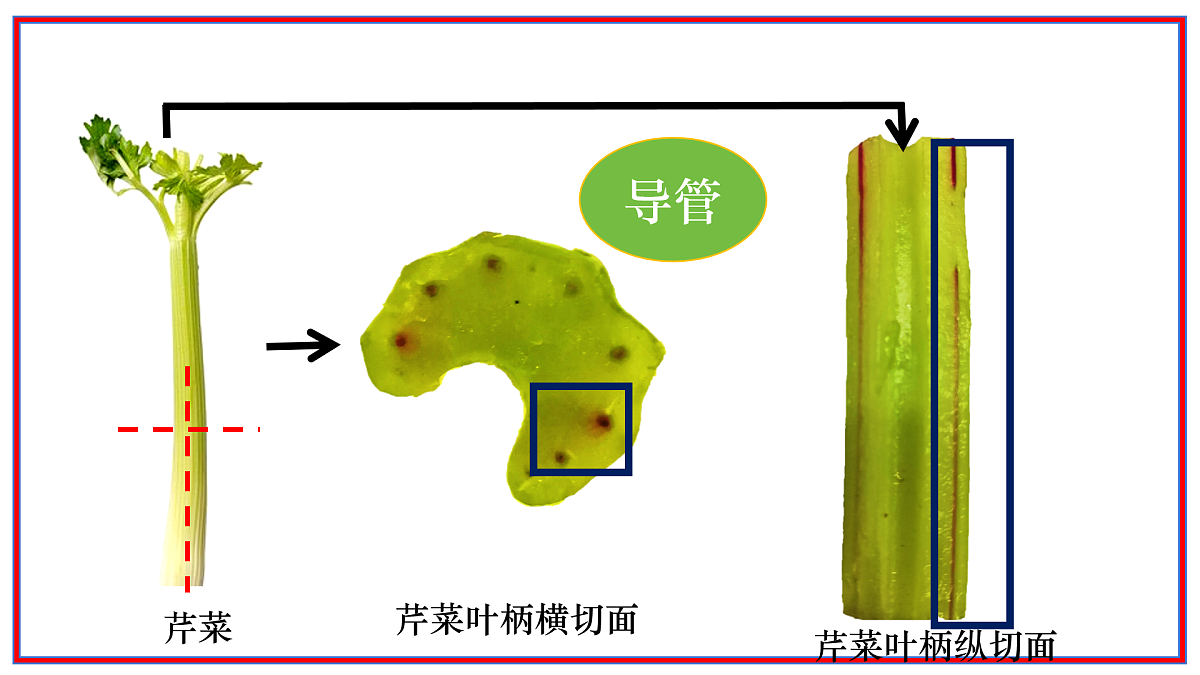 17964014第8页