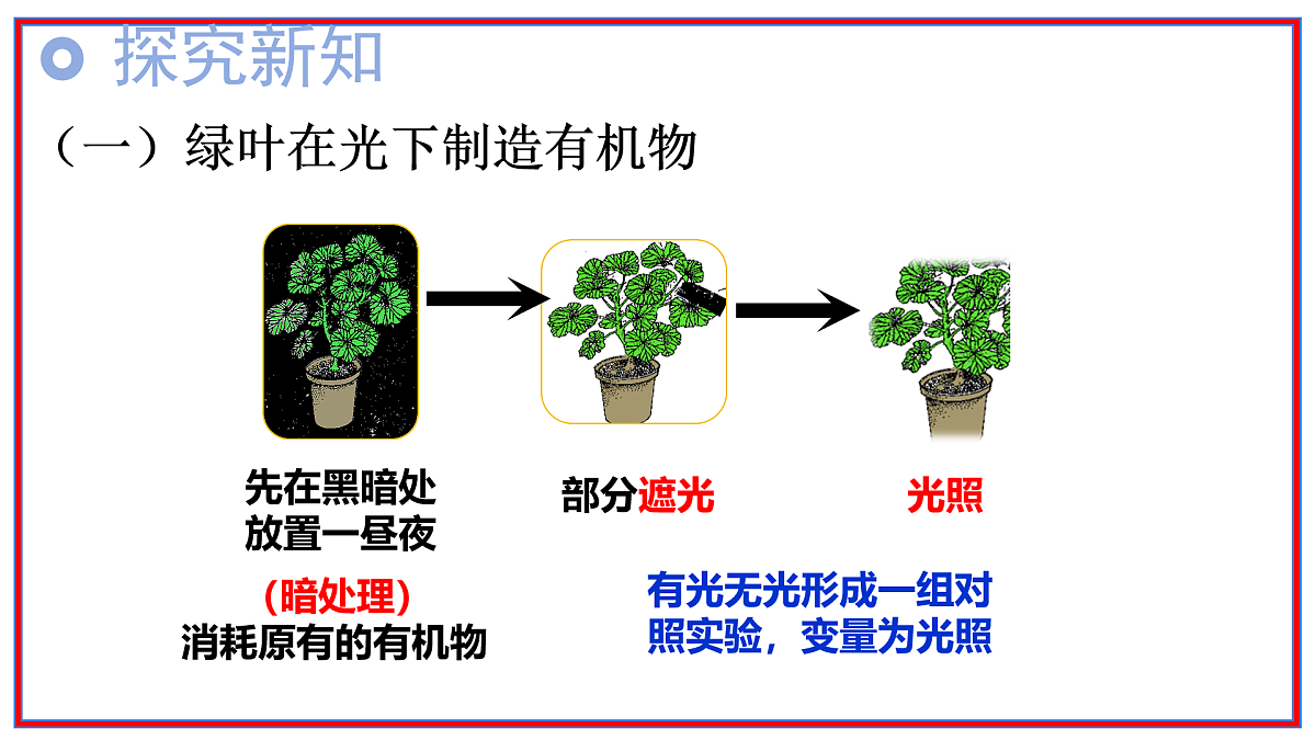 17964043第4页