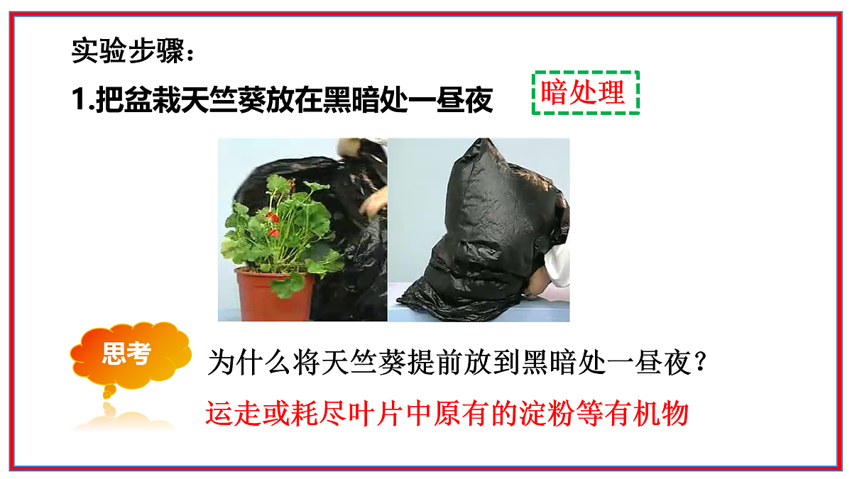 17964043第5页