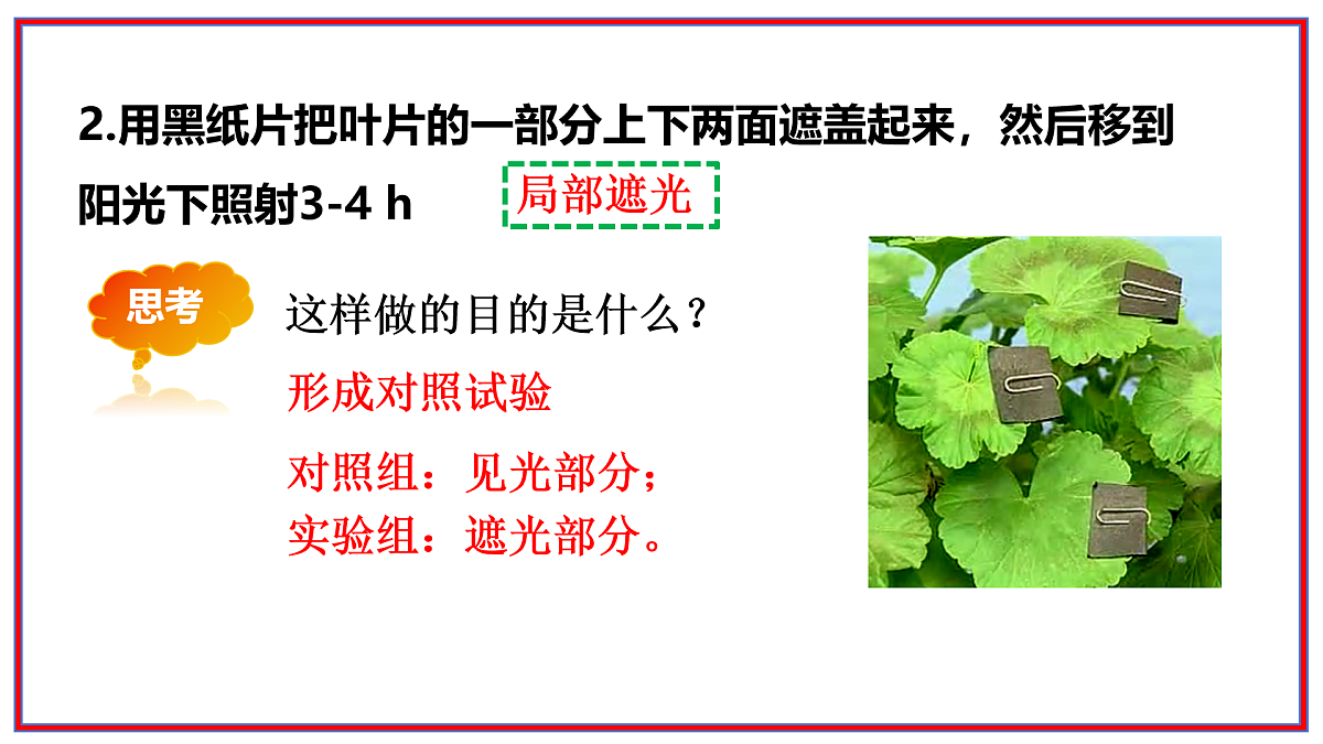 17964043第6页